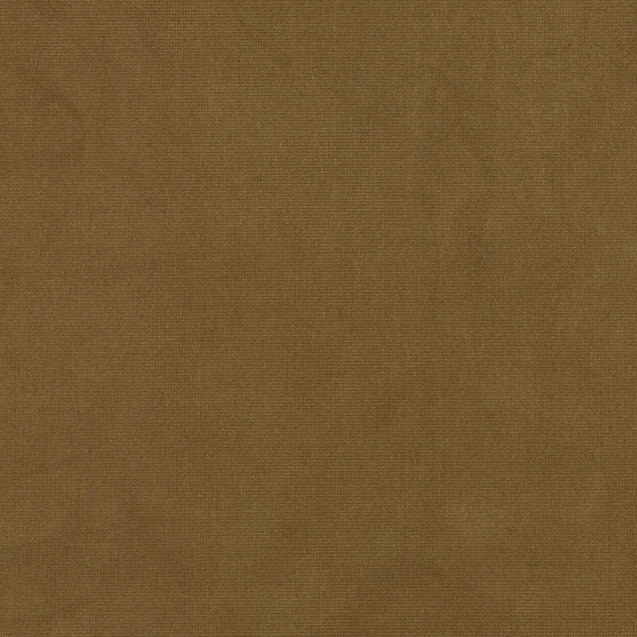 Queen 27 Dijon by Stout Fabric Stout Fabric Queen 27 DijonFabric Solid Velvets Plush Palette 95%Pol 5%Cot China </p><p>Repeat: H: 0, V: 3.5 54 in - Fabric Carolina -