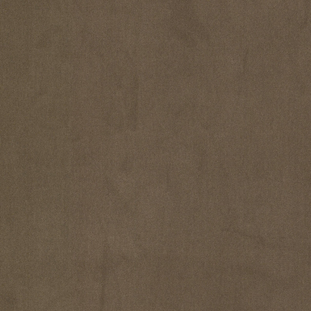 Queen 2 Cocoa by Stout Fabric Stout Fabric Queen 2 CocoaFabric SOLID VELVETS PLUSH PALETTE 95%POL 5%COT CHINA </p><p>Repeat: H: 0.000, V: 0.000 54 in - Fabric Carolina -
