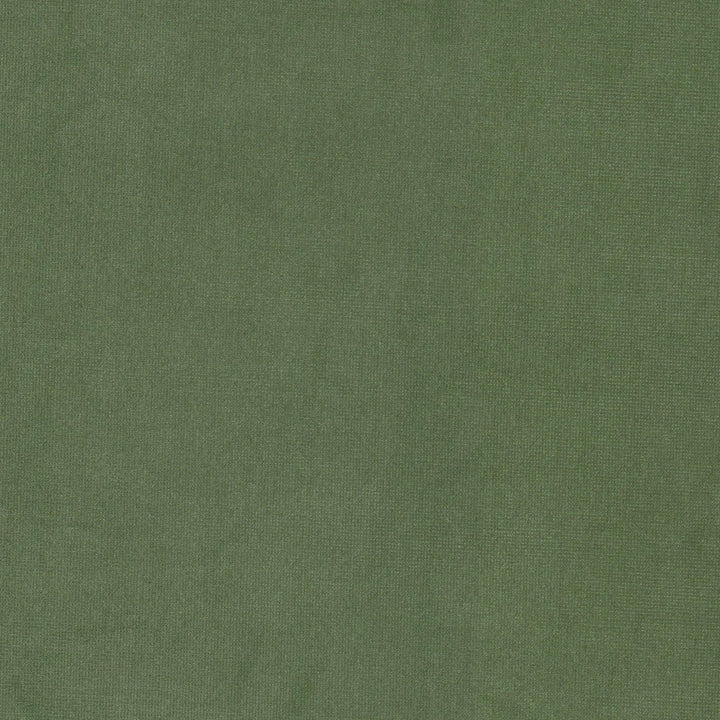 Queen 7 Sage by Stout Fabric Stout Fabric Queen 7 SageFabric SOLID VELVETS PLUSH PALETTE 95%POL 5%COT CHINA </p><p>Repeat: H: 0.000, V: 0.000 54 in - Fabric Carolina -
