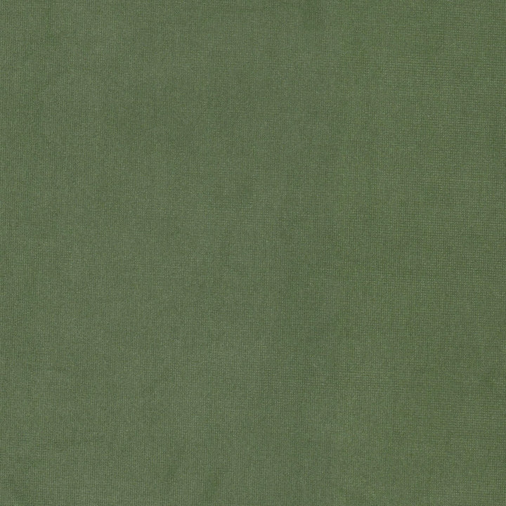 Queen 7 Sage by Stout Fabric Stout Fabric Queen 7 SageFabric SOLID VELVETS PLUSH PALETTE 95%POL 5%COT CHINA </p><p>Repeat: H: 0.000, V: 0.000 54 in - Fabric Carolina -