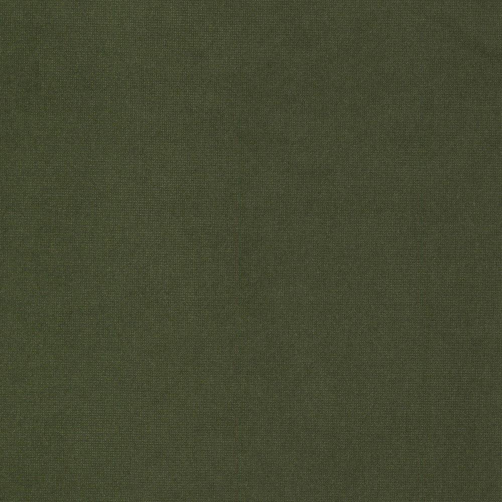 Queen 9 Chive by Stout Fabric Stout Fabric Queen 9 ChiveFabric SOLID VELVETS PLUSH PALETTE 95%POL 5%COT CHINA </p><p>Repeat: H: 0.000, V: 0.000 54 in - Fabric Carolina -
