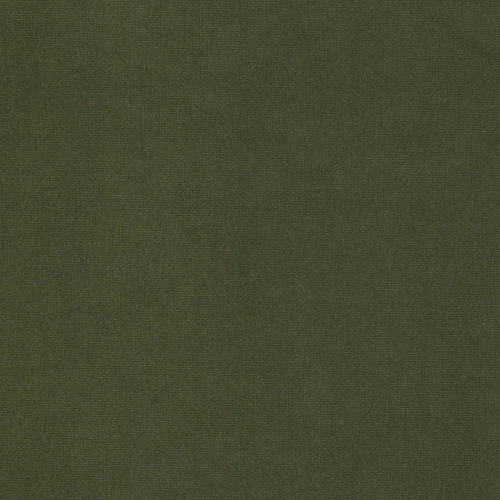 Queen 9 Chive by Stout Fabric Stout Fabric Queen 9 ChiveFabric SOLID VELVETS PLUSH PALETTE 95%POL 5%COT CHINA </p><p>Repeat: H: 0.000, V: 0.000 54 in - Fabric Carolina -