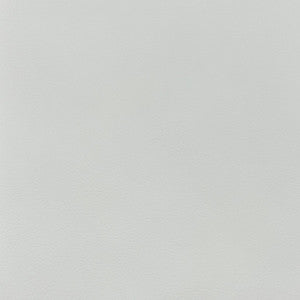 Quest Snow by Magnolia Fabric