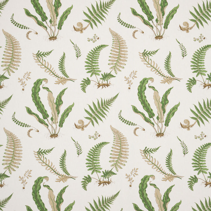 Ferns Linen Stone/Green by G P & J Baker Fabric PERENNIA LINEN - 60%;COTTON - 20%;VISCOSE - 20% United Kingdom Horizontal: 26.989 and Vertical: 24.822 53.978 - Fabric Carolina -
