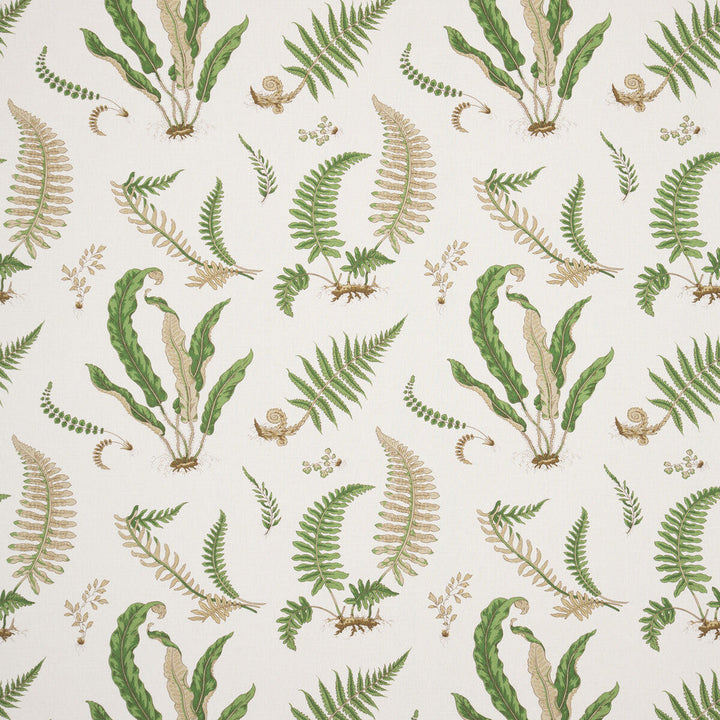 Ferns Linen Stone/Green by G P & J Baker Designer Fabric PERENNIA LINEN - 60%;COTTON - 20%;VISCOSE - 20% United Kingdom - Horizontal: 26.989 and Vertical: 24.822 53.978 - Swanky Fabrics -