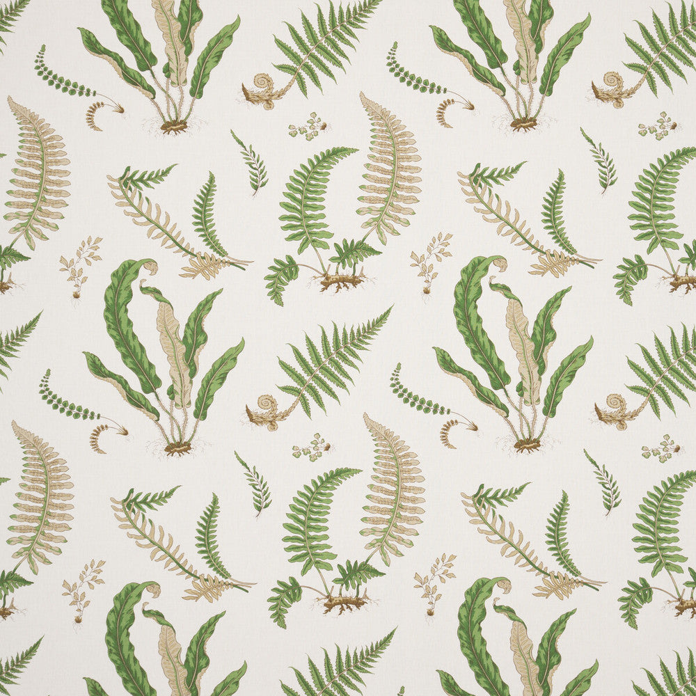 Ferns Linen Stone/Green by G P & J Baker Fabric PERENNIA LINEN - 60%;COTTON - 20%;VISCOSE - 20% United Kingdom - Horizontal: 26.989 and Vertical: 24.822 53.978 - Fabric Carolina -