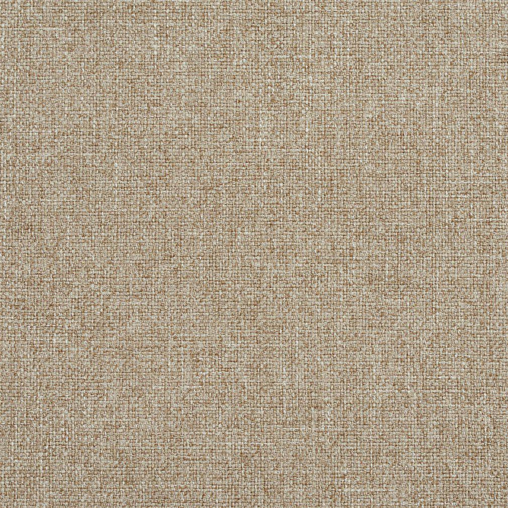 R134 Dove by Charlotte Fabric Ring Book Page #24B 100% Woven Polyester Asia Exceeds 70,000 Wyzenbeek Rubs (Heavy Duty) </p><p>Repeat: No Repeat 54 Inches - Fabric Carolina -