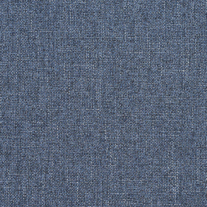 R135 Dresden by Charlotte Fabric Ring Book Page #24B 100% Woven Polyester Asia Exceeds 70,000 Wyzenbeek Rubs (Heavy Duty) No Repeat 54 Inches - Fabric Carolina -
