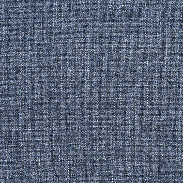 R135 Dresden by Charlotte Designer Fabric Ring Book Page #24B 100% Woven Polyester Asia Exceeds 70,000 Wyzenbeek Rubs (Heavy Duty) No Repeat 54 Inches - Swanky Fabrics -