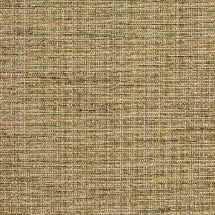 R150 Rosemary by Charlotte Fabric Ring Book Page #23B 86% Polyester, 14% Acrylic Made In USA Exceeds 75,000 Wyzenbeek Rubs (Heavy Duty) No Repeat 54 Inches - Fabric Carolina -