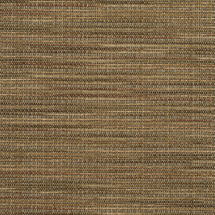 R152 Basil by Charlotte Fabric Ring Book Page #23B 86% Polyester, 14% Acrylic Made In USA Exceeds 75,000 Wyzenbeek Rubs (Heavy Duty) No Repeat 54 Inches - Fabric Carolina -