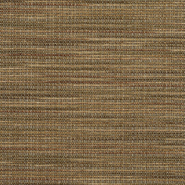 R152 Basil by Charlotte Designer Fabric Ring Book Page #23B 86% Polyester, 14% Acrylic Made In USA Exceeds 75,000 Wyzenbeek Rubs (Heavy Duty) No Repeat 54 Inches - Swanky Fabrics -