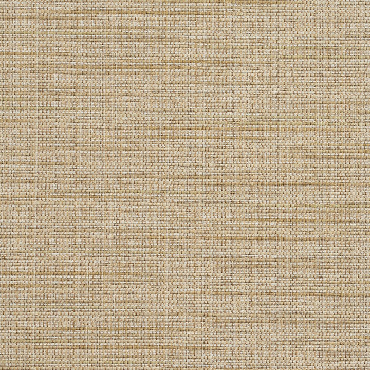 R154 Sesame by Charlotte Fabric Ring Book Page #23B 86% Polyester, 14% Acrylic Made In USA Exceeds 75,000 Wyzenbeek Rubs (Heavy Duty) No Repeat 54 Inches - Fabric Carolina -