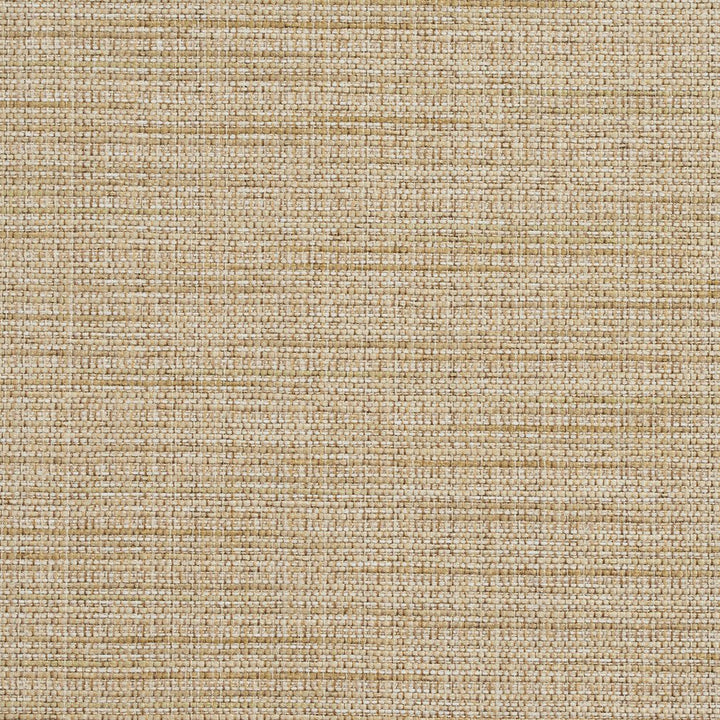 R154 Sesame by Charlotte Designer Fabric Ring Book Page #23B 86% Polyester, 14% Acrylic Made In USA Exceeds 75,000 Wyzenbeek Rubs (Heavy Duty) No Repeat 54 Inches - Swanky Fabrics -
