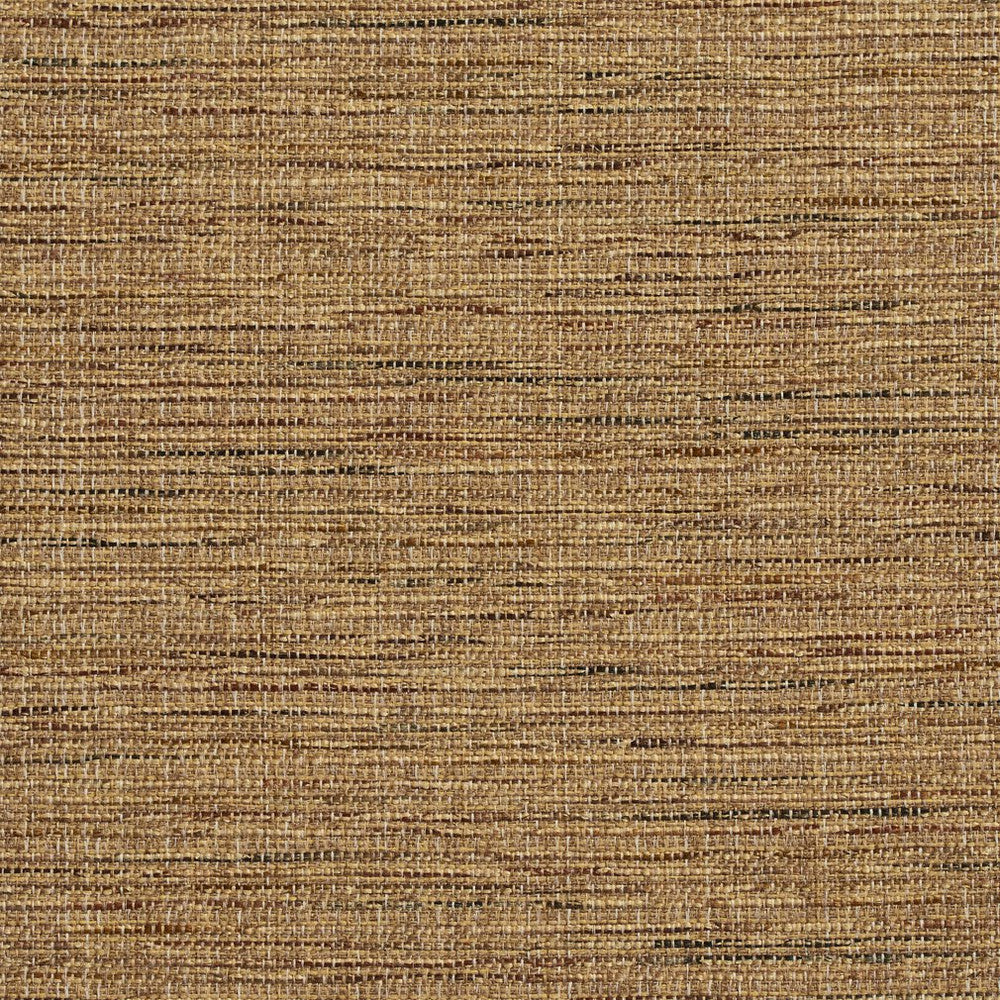 R155 Harvest by Charlotte Fabric Ring Book Page #23B 86% Polyester, 14% Acrylic Made In USA Exceeds 75,000 Wyzenbeek Rubs (Heavy Duty) </p><p>Repeat: No Repeat 54 Inches - Fabric Carolina -