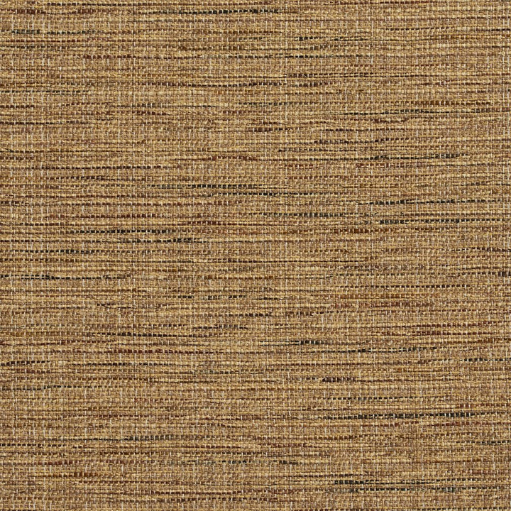 R155 Harvest by Charlotte Fabric Ring Book Page #23B 86% Polyester, 14% Acrylic Made In USA Exceeds 75,000 Wyzenbeek Rubs (Heavy Duty) No Repeat 54 Inches - Fabric Carolina -
