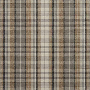 R160 Flannel by Charlotte Fabric