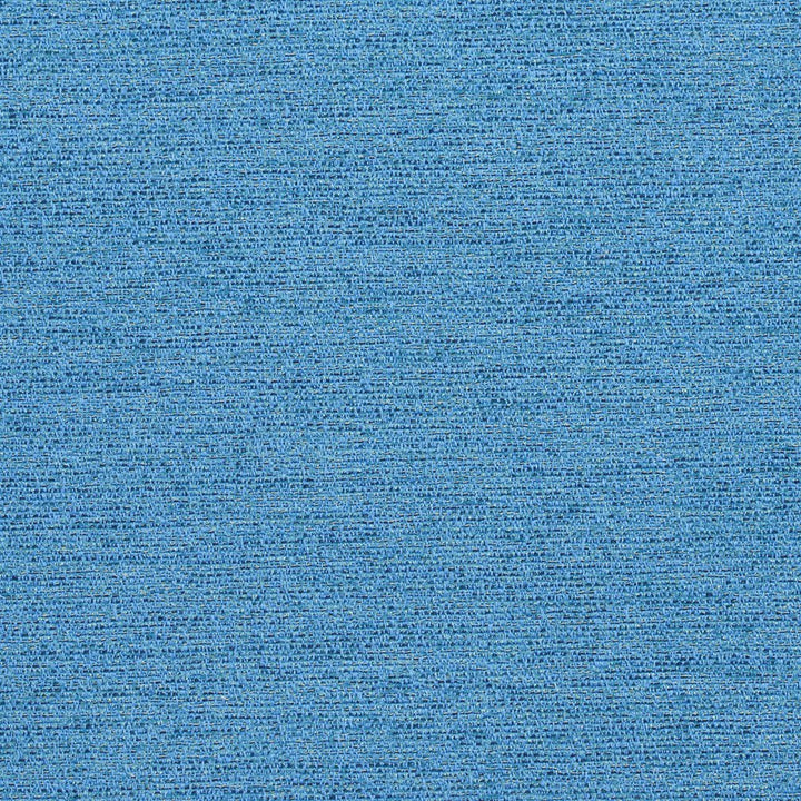 R170 Capri by Charlotte Fabric Ring Book Page #22B 100% Woven Polyester Asia Exceeds 100,000 Wyzenbeek Rubs (Heavy Duty) </p><p>Repeat: 54 Inches - Fabric Carolina -