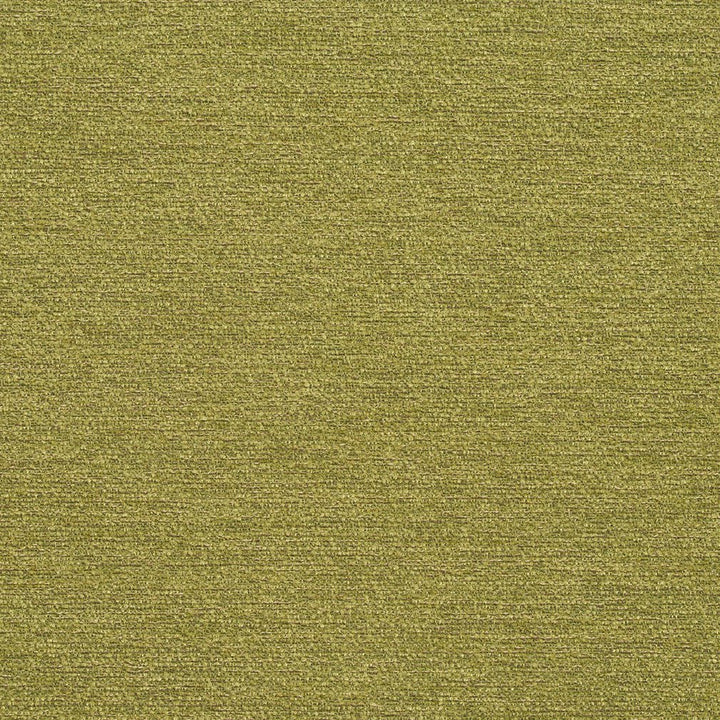 R171 Spring by Charlotte Designer Fabric Ring Book Page #22B 100% Woven Polyester Asia Exceeds 100,000 Wyzenbeek Rubs (Heavy Duty) </p><p>Repeat: 54 Inches - Swanky Fabrics -