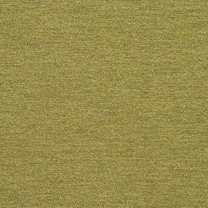 R171 Spring by Charlotte Fabric Ring Book Page #22B 100% Woven Polyester Asia Exceeds 100,000 Wyzenbeek Rubs (Heavy Duty) No Repeat 54 Inches - Fabric Carolina -