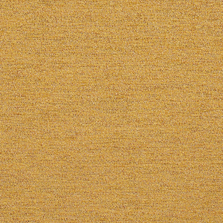 R172 Saffron by Charlotte Fabric Ring Book Page #22B 100% Woven Polyester Asia Exceeds 100,000 Wyzenbeek Rubs (Heavy Duty) No Repeat 54 Inches - Fabric Carolina -