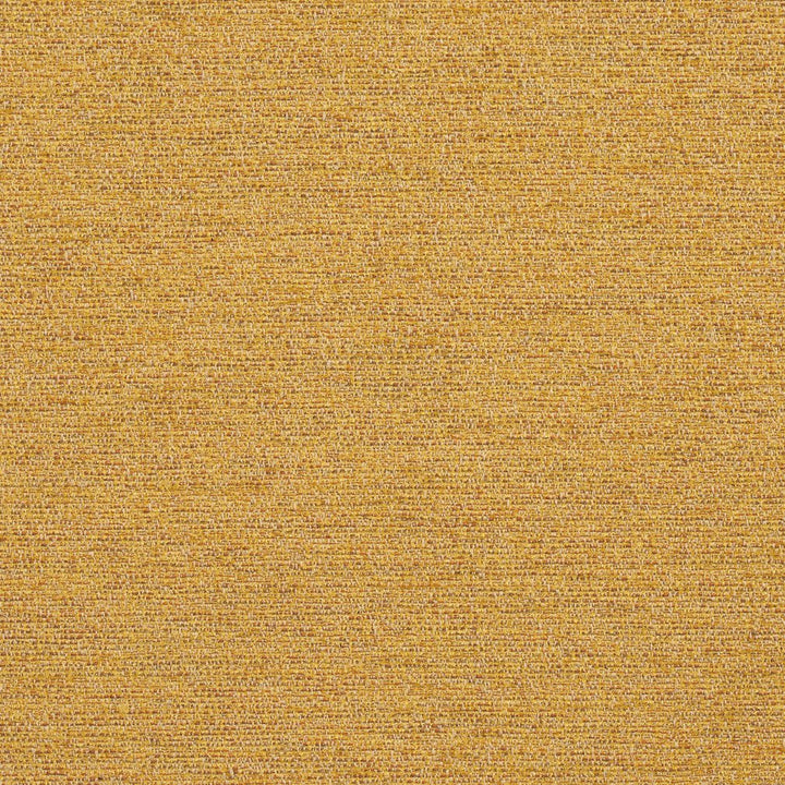 R172 Saffron by Charlotte Designer Fabric Ring Book Page #22B 100% Woven Polyester Asia Exceeds 100,000 Wyzenbeek Rubs (Heavy Duty) No Repeat 54 Inches - Swanky Fabrics -