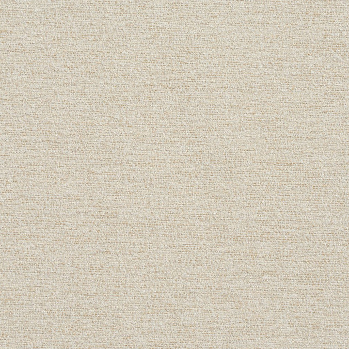 R173 Linen by Charlotte Fabric Ring Book Page #22B 100% Woven Polyester Asia Exceeds 100,000 Wyzenbeek Rubs (Heavy Duty) No Repeat 54 Inches - Fabric Carolina -