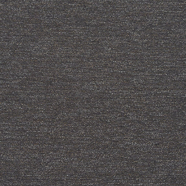 R174 Slate by Charlotte Fabric Ring Book Page #22B 100% Woven Polyester Asia Exceeds 100,000 Wyzenbeek Rubs (Heavy Duty) </p><p>Repeat: No Repeat 54 Inches - Fabric Carolina -