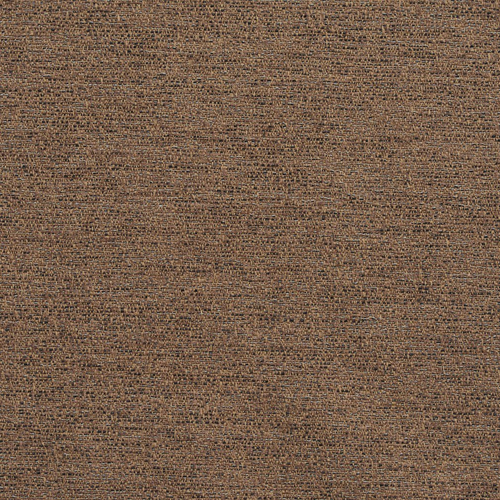 R177 Pecan by Charlotte Fabric Ring Book Page #22B 100% Woven Polyester Asia Exceeds 100,000 Wyzenbeek Rubs (Heavy Duty) No Repeat 54 Inches - Fabric Carolina -