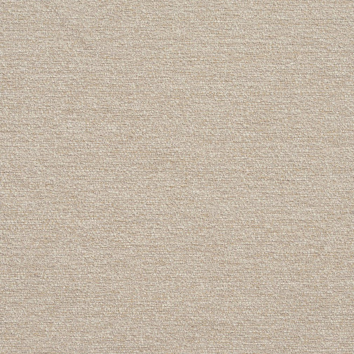 R178 Stucco by Charlotte Designer Fabric Ring Book Page #22B 100% Woven Polyester Asia Exceeds 100,000 Wyzenbeek Rubs (Heavy Duty) </p><p>Repeat: 54 Inches - Swanky Fabrics -