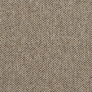 R251 Lexington by Charlotte Fabric