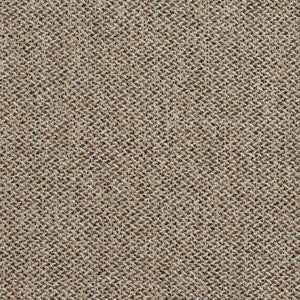 R251 Lexington by Charlotte Fabric