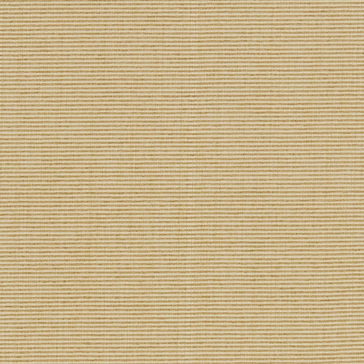 R261 Sand by Charlotte Designer Fabric Ringbook Page #13b 51% Cotton, 30% Polyester, 19% Rayon Asia Exceeds 120,000 Wyzenbeek Rubs (Heavy Duty) </p><p>Repeat: 54 Inches - Swanky Fabrics -