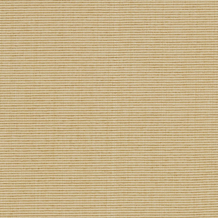R261 Sand by Charlotte Fabric Ringbook Page #13b 51% Cotton, 30% Polyester, 19% Rayon Asia Exceeds 120,000 Wyzenbeek Rubs (Heavy Duty) No Repeat 54 Inches - Fabric Carolina -