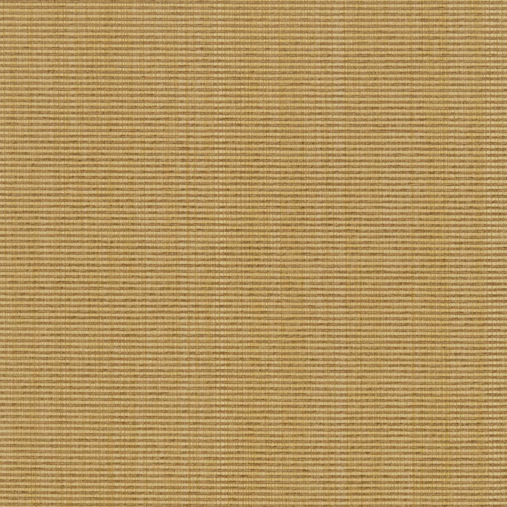 R263 Wheat by Charlotte Fabric Ringbook Page #13b 51% Cotton, 30% Polyester, 19% Rayon Asia Exceeds 120,000 Wyzenbeek Rubs (Heavy Duty) </p><p>Repeat: No Repeat 54 Inches - Fabric Carolina -