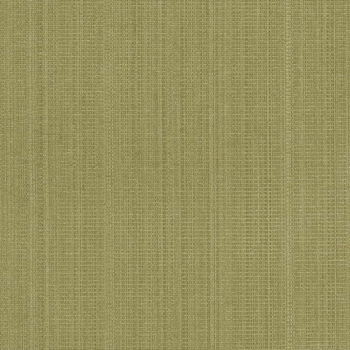 R264 Sage by Charlotte Designer Fabric Ringbook Page #13b 51% Cotton, 30% Polyester, 19% Rayon Asia Exceeds 120,000 Wyzenbeek Rubs (Heavy Duty) </p><p>Repeat: 54 Inches - Swanky Fabrics -