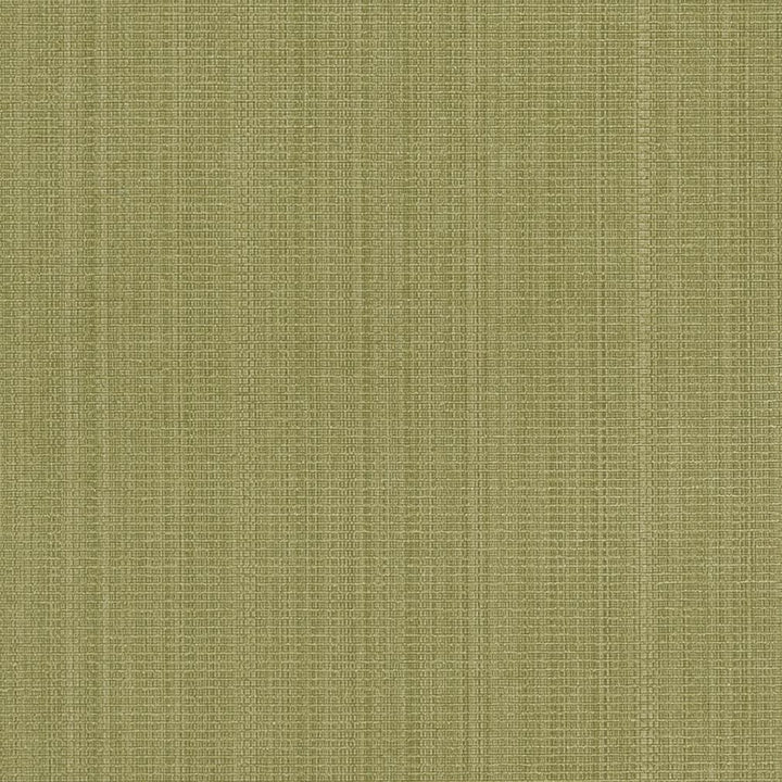 R264 Sage by Charlotte Fabric Ringbook Page #13b 51% Cotton, 30% Polyester, 19% Rayon Asia Exceeds 120,000 Wyzenbeek Rubs (Heavy Duty) No Repeat 54 Inches - Fabric Carolina -