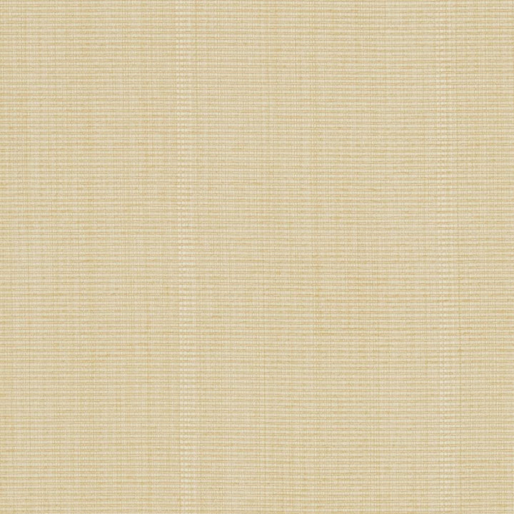 R265 Cream by Charlotte Designer Fabric Ringbook Page #13b 51% Cotton, 30% Polyester, 19% Rayon Asia Exceeds 120,000 Wyzenbeek Rubs (Heavy Duty) No Repeat 54 Inches - Swanky Fabrics -