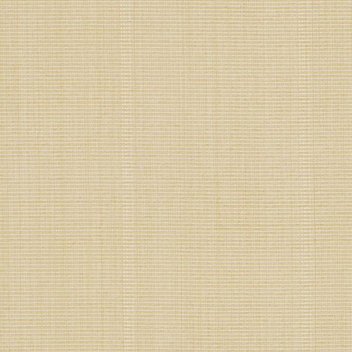 R265 Cream by Charlotte Fabric Ringbook Page #13b 51% Cotton, 30% Polyester, 19% Rayon Asia Exceeds 120,000 Wyzenbeek Rubs (Heavy Duty) No Repeat 54 Inches - Fabric Carolina -