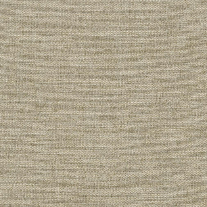 R283 Fawn by Charlotte Fabric Ringbook Page #14b 100% Woven Polyester Asia Exceeds 120,000 Wyzenbeek Rubs (Heavy Duty) No Repeat 54 Inches - Fabric Carolina -