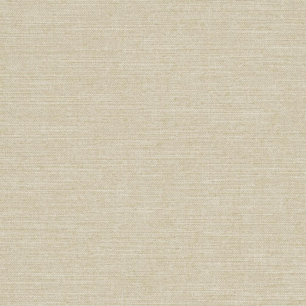 R285 Sand by Charlotte Fabric Ringbook Page #14b 100% Woven Polyester Asia Exceeds 120,000 Wyzenbeek Rubs (Heavy Duty) </p><p>Repeat: No Repeat 54 Inches - Fabric Carolina -