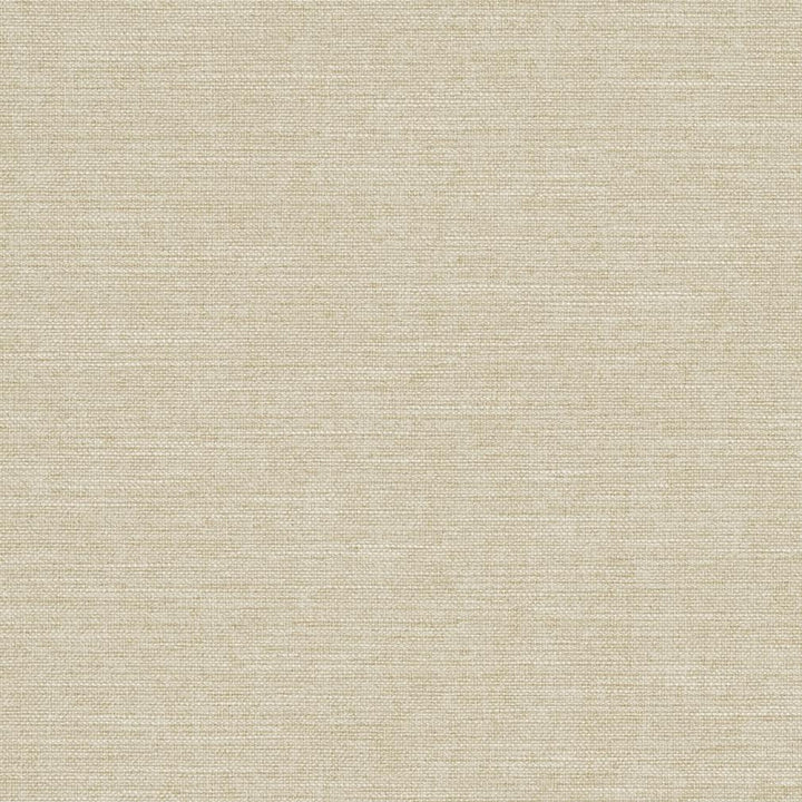 R285 Sand by Charlotte Fabric Ringbook Page #14b 100% Woven Polyester Asia Exceeds 120,000 Wyzenbeek Rubs (Heavy Duty) No Repeat 54 Inches - Fabric Carolina -