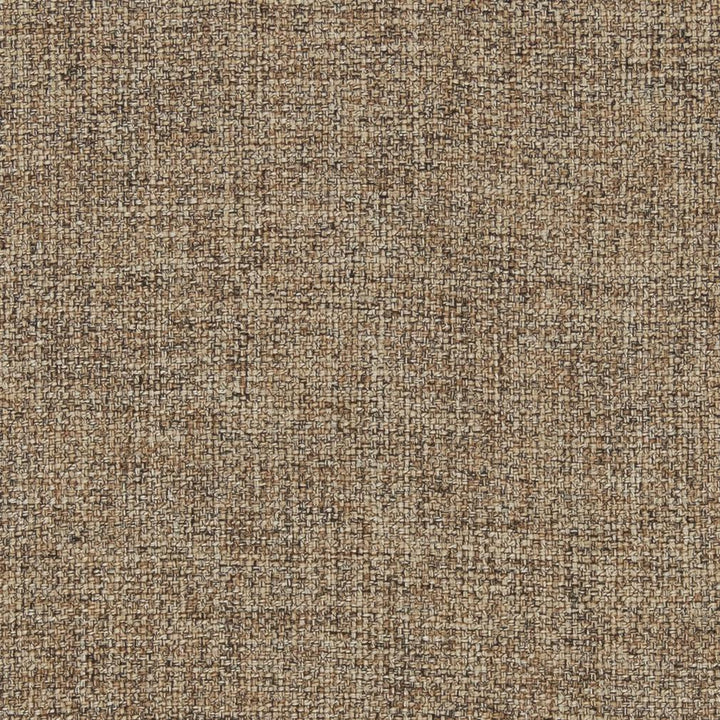 R300 Coffee by Charlotte Fabric Ringbook Page #16b 100% Woven Polyester Asia Exceeds 140,000 Wyzenbeek Rubs (Heavy Duty) No Repeat 54 Inches - Fabric Carolina -