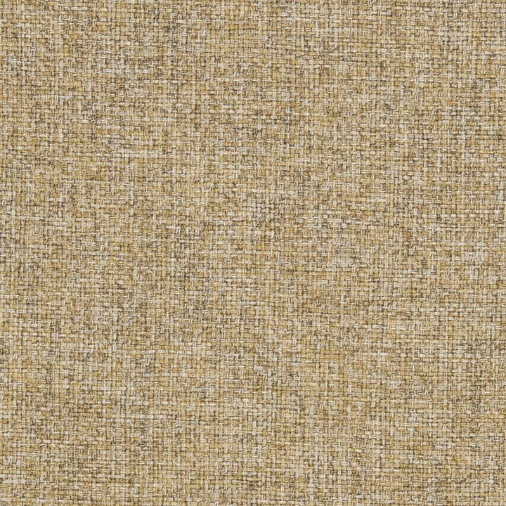 R306 Cornsilk by Charlotte Fabric Ringbook Page #16b 100% Woven Polyester Asia Exceeds 140,000 Wyzenbeek Rubs (Heavy Duty) No Repeat 54 Inches - Fabric Carolina -