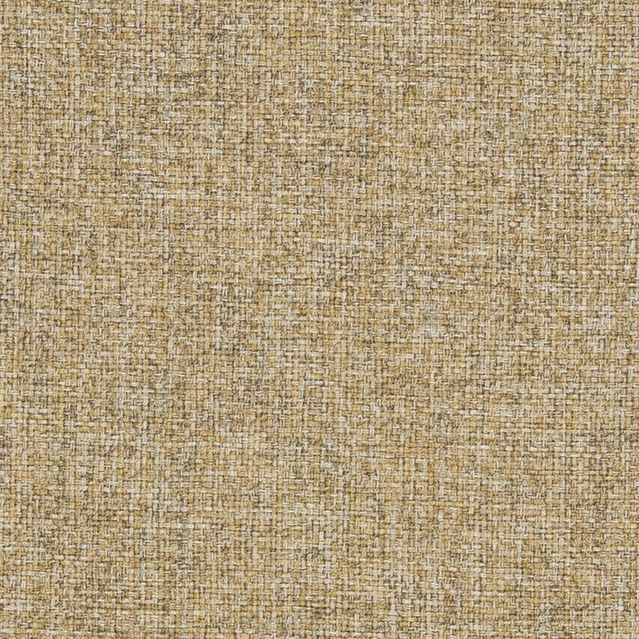 R306 Cornsilk by Charlotte Designer Fabric Ringbook Page #16b 100% Woven Polyester Asia Exceeds 140,000 Wyzenbeek Rubs (Heavy Duty) No Repeat 54 Inches - Swanky Fabrics -