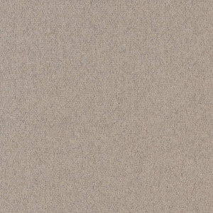 R342 Flannel by Charlotte Fabric