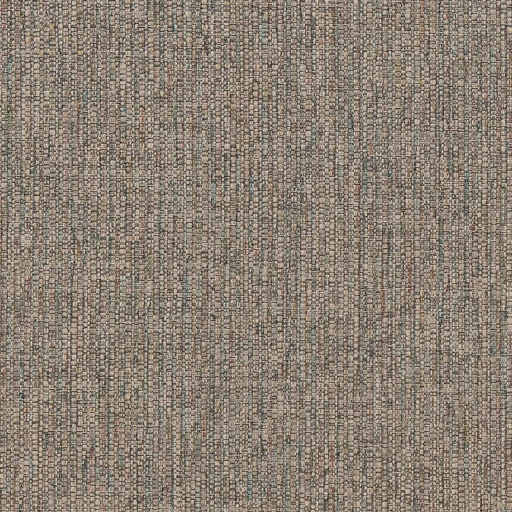 R359 Birch by Charlotte Fabric Ringpage 10b 100% Woven Polypropylene Made In USA Exceeds 30,000 Wyzenbeek Rubs (Heavy Duty) No Repeat 54 Inches - Fabric Carolina -