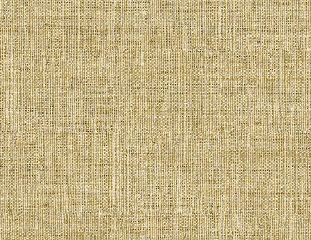 Wild Bind Honey by Seabrook Wallpaper Raffia United States 60.75 20.87" 27" - Fabric Carolina -