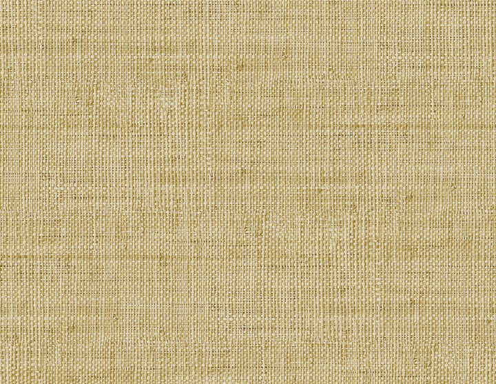 Wild Bind Honey by Seabrook Wallpaper Raffia United States 60.75 20.87" 27" - Fabric Carolina -