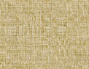 Wild Bind Honey by Seabrook Wallpaper